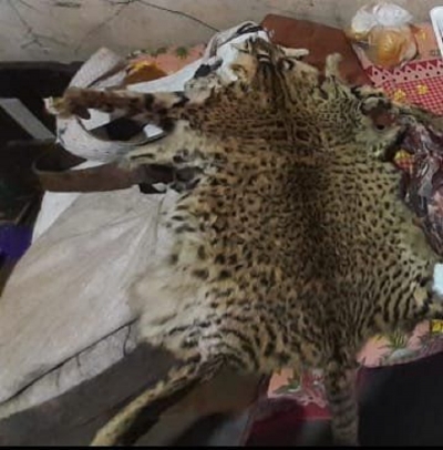 Caza furtiva. Allanamientos y secuestro de elementos en Palma Sola