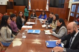 La Comisi&oacute;n de Igualdad de G&eacute;nero recibi&oacute; a la hermana de Miguel Coria y acompa&ntilde;&oacute; el pedido de justicia