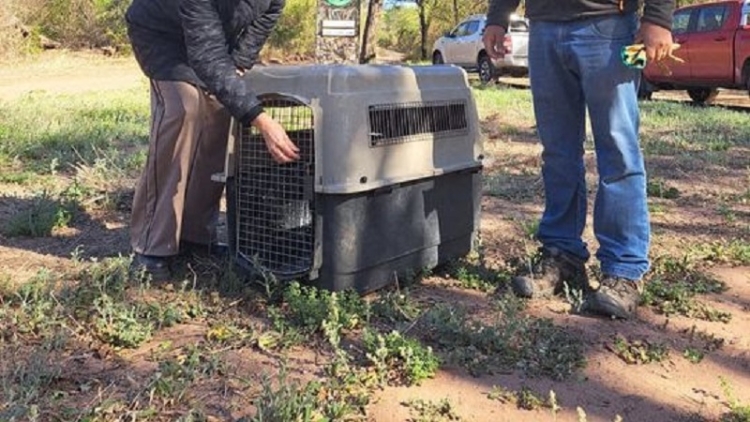 Conservar la biodiversidad es una pol&iacute;tica de Estado en Jujuy