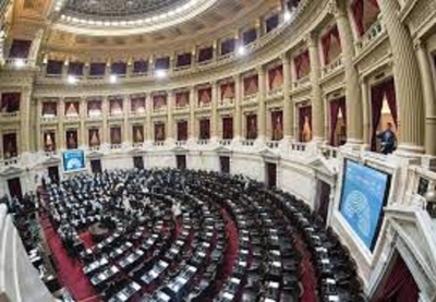 Con holgada mayor&iacute;a, la oposici&oacute;n logr&oacute; aprobar la ley de emergencia en Discapacidad en Diputados