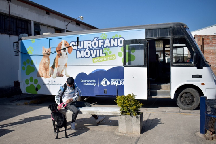 El municipio con recursos genuinos adquiri&oacute; un quir&oacute;fano m&oacute;vil propio para la campa&ntilde;a de castraci&oacute;n de mascotas