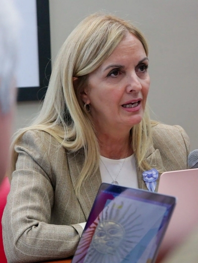 &ldquo;Los hitos fundamentales de la Constituci&oacute;n deben ser el&aacute;sticos, simples, modernos y abarcativos&rdquo;