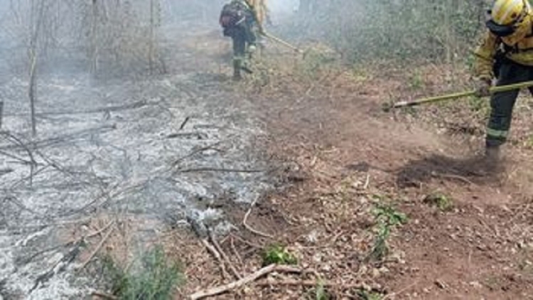 Intenso trabajo de Ambiente en los incendios forestales de Ledesma y Santa B&aacute;rbara