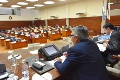 La legislatura repudi&oacute; todo acto vand&aacute;lico que violente cualquier entidad p&uacute;blica