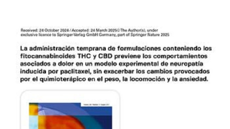 Cannabis Medicinal y C&aacute;ncer: