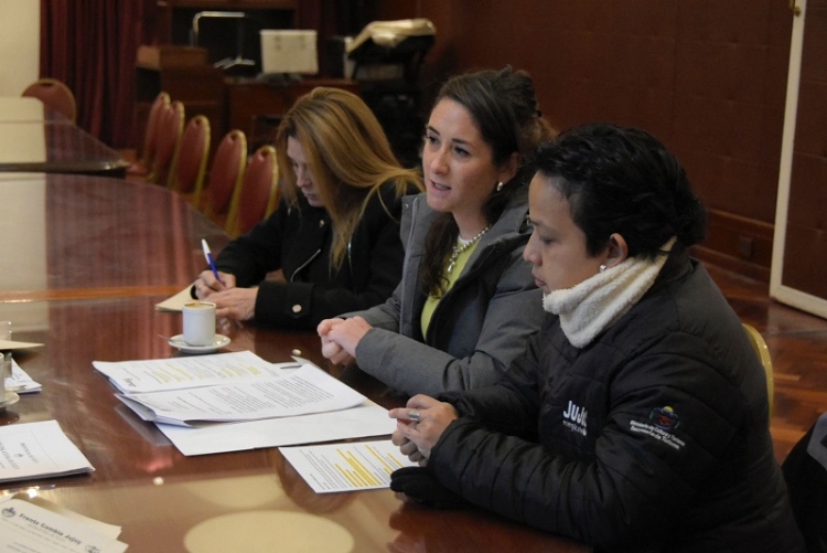 La comisi&oacute;n de Turismo y Cultura trabaja en un proyecto de turismo accesible