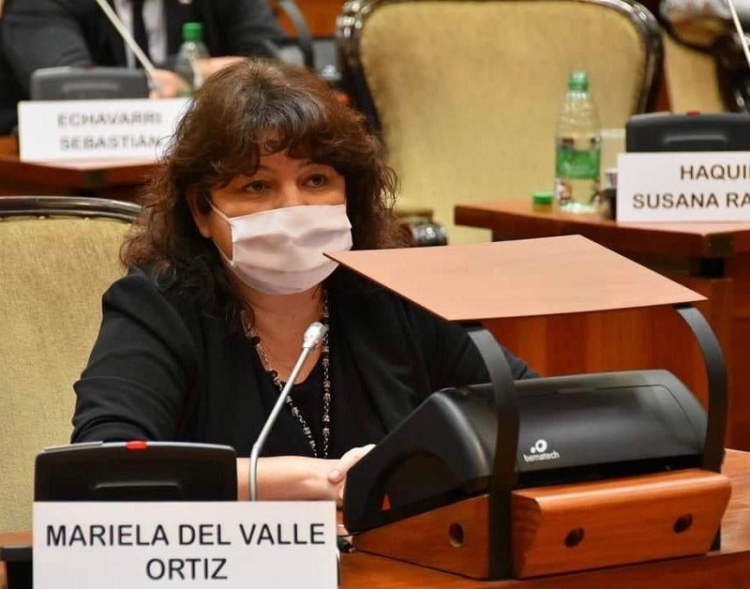 Jujuy ya cuenta con una &ldquo;ley de mecenazgo&rdquo;