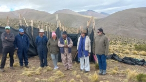 Chakus: exitosa esquila de vicu&ntilde;as en Yavi