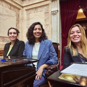 Leila Chaher: &ldquo;A pesar del lobby de los casinos y casas de apuestas se logr&oacute; la media sanci&oacute;n de la ley de ludopat&iacute;a&rdquo;