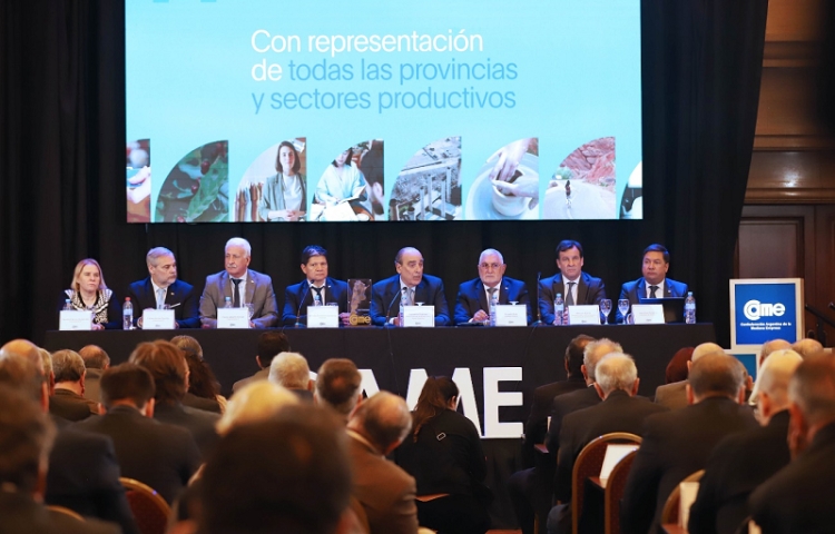 CAME plante&oacute; a Francos pol&iacute;ticas laborales e impositivas diferenciales para las pymes