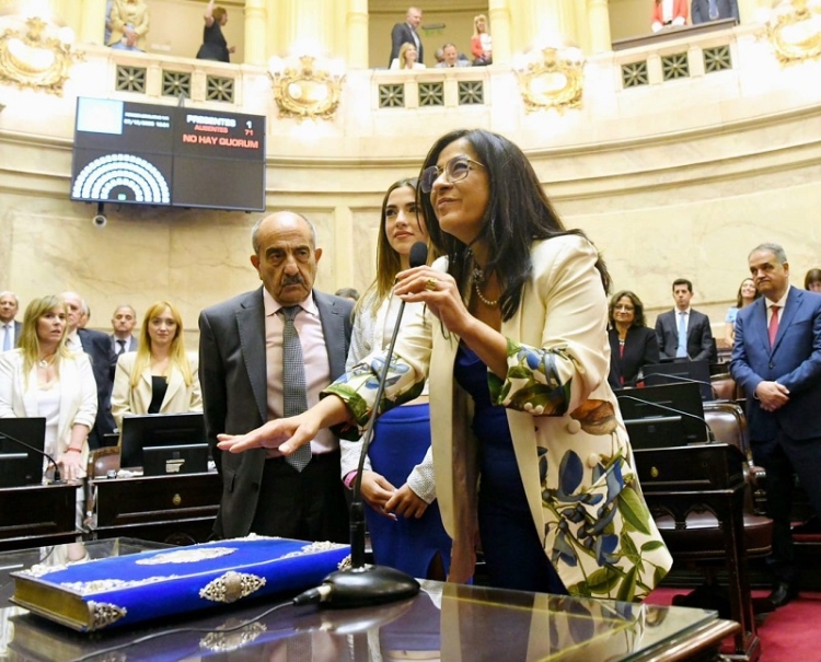 Mois&eacute;s jur&oacute; como senadora nacional  y el pj de jujuy retuvo su banca en la c&aacute;mara alta