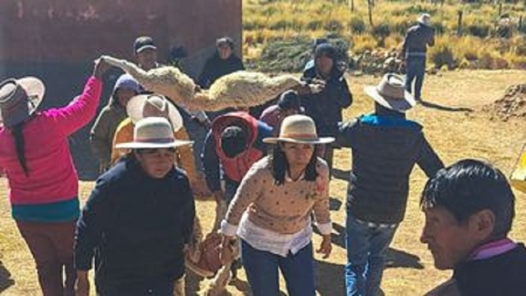 El pueblo de Lagunilla de Pozuelos record&oacute; a su Santo Patrono