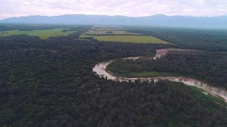 Veda de pesca con fines deportivos y recreativos