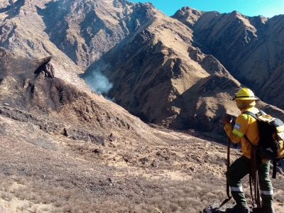 Controlan incendio forestal a m&aacute;s de 4000 msn