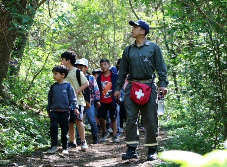 Calendario de actividades de verano 2024 en el Parque Bot&aacute;nico Municipal
