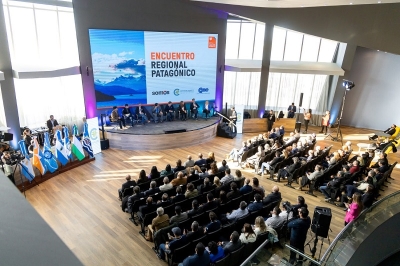 Manifiesto de gobernadores patag&oacute;nicos y CAME
