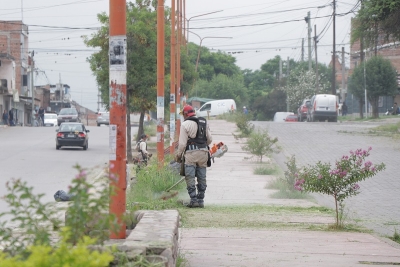 Se mantienen trabajos de limpieza y desmalezado en Palpal&aacute;
