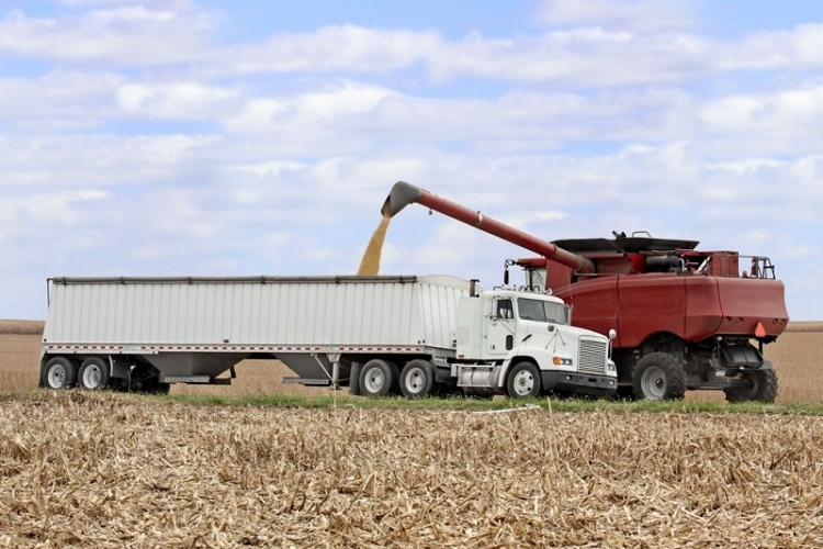 El Gobierno de la Provincia trabaja sin pausa en las zonas afectadas por intensas lluvias