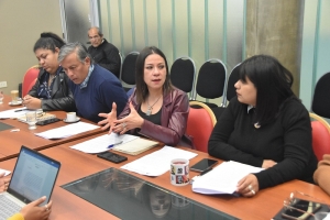 La Comisi&oacute;n de Asuntos Sociales avanza en la actualizaci&oacute;n de la ley de trabajadores sociales