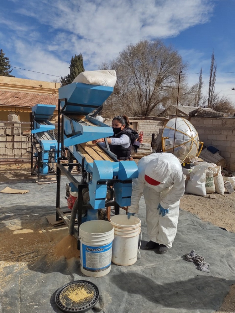 20 millones de pesos para proyectos de grupos de mujeres de la Agricultura Familiar