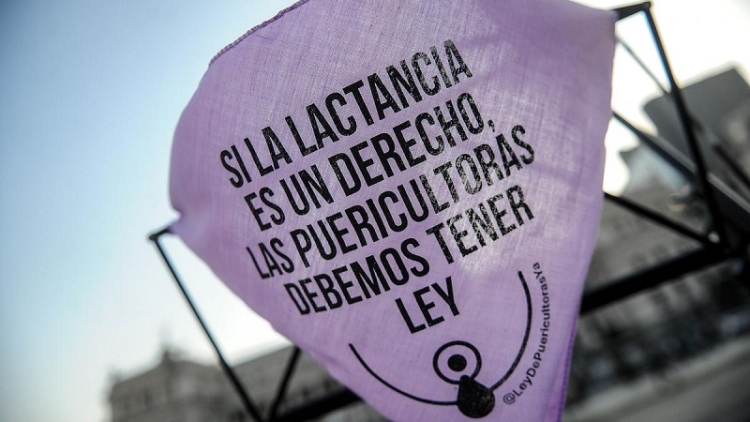 Puericultoras y familias se concentraron frente al Congreso para pedir que se regule su profesi&oacute;n