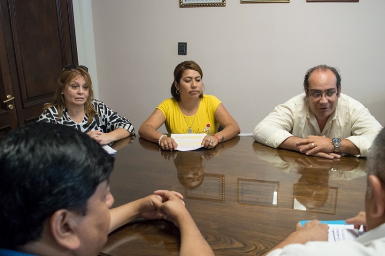 Palpal&aacute; implementar&aacute; el carnet digital para personas con discapacidad