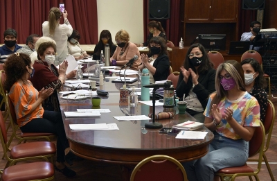 Finalizaron las exposiciones para la elaboraci&oacute;n del proyecto de ley de emergencia provincial en violencia de g&eacute;nero