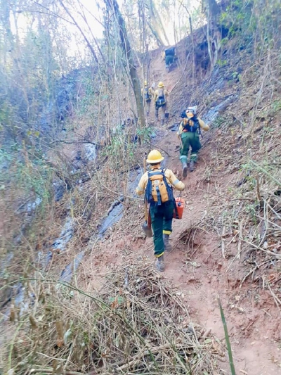 REPORTE DIARIO DE INCENDIOS FORESTALES (16/11/2020)