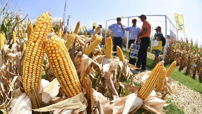Todo listo para la edici&oacute;n 2024 de Expoagro en San Nicol&aacute;s