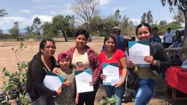 Lotes fiscales: familias de Perico recibir&aacute;n certificados de ocupaci&oacute;n
