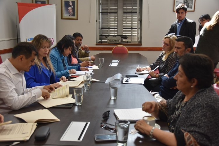 La Comisi&oacute;n de Salud recibi&oacute; a la representante de la Sociedad Argentina de Nefrolog&iacute;a en Jujuy