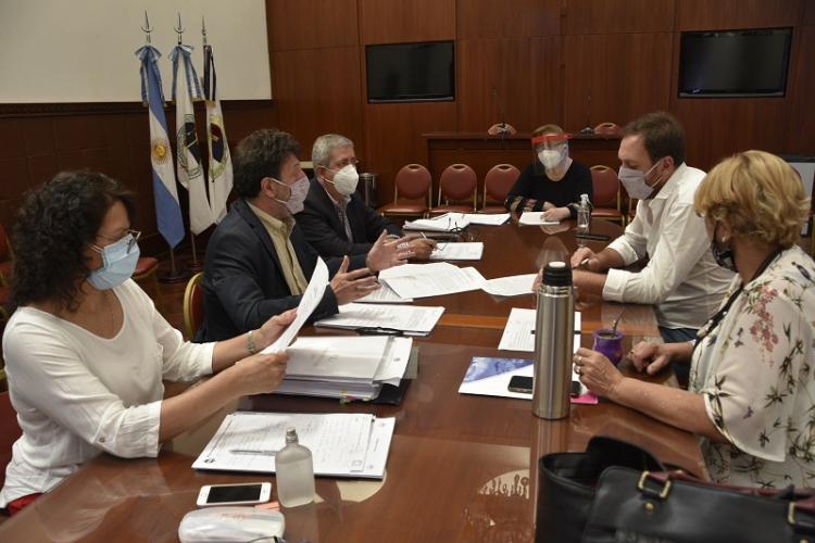 La Comisi&oacute;n de Asuntos Institucionales contin&uacute;a trabajando en proyectos vinculados a la violencia de g&eacute;nero