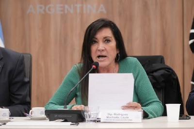 En Diputados, se reactiv&oacute; el debate sobre la ley Anti Barras