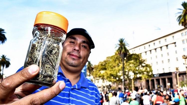 Cannabis medicinal: autocultivo y acceso gratuito, las claves de la nueva reglamentaci&oacute;n