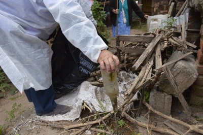 En &eacute;poca de lluvias es determinante prevenir el dengue