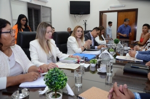La Comisi&oacute;n de Ambiente constituy&oacute; a sus autoridades y diagram&oacute; agenda de trabajo