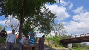 Aves silvestres retornan a su h&aacute;bitat natural