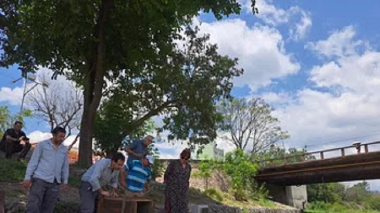 Aves silvestres retornan a su h&aacute;bitat natural