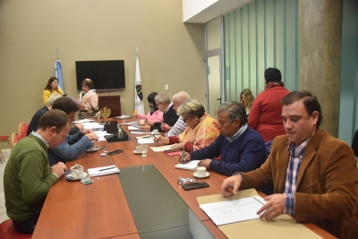 Despacho favorable para el &ldquo;A&ntilde;o Internacional de los Cam&eacute;lidos