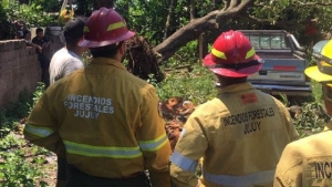 Despliegue de la Brigada de Incendios Forestales para asistir a la poblaci&oacute;n