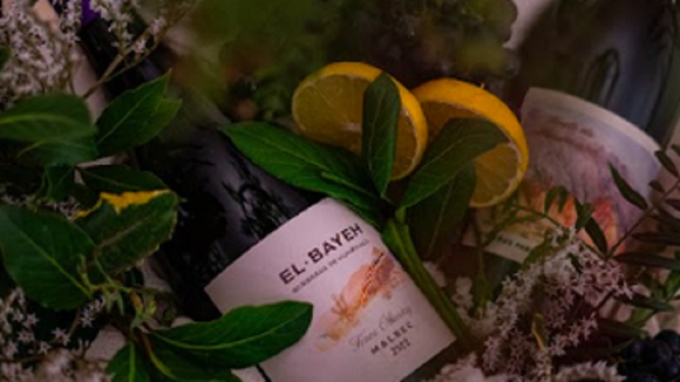 Presentaci&oacute;n oficial del Festival "La Vendimia de El Bayeh"