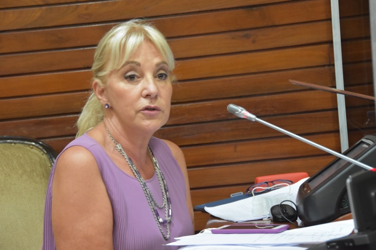 Liliana Fellner: el Gobierno provincial “cambia las prioridades sobre la marcha”.
