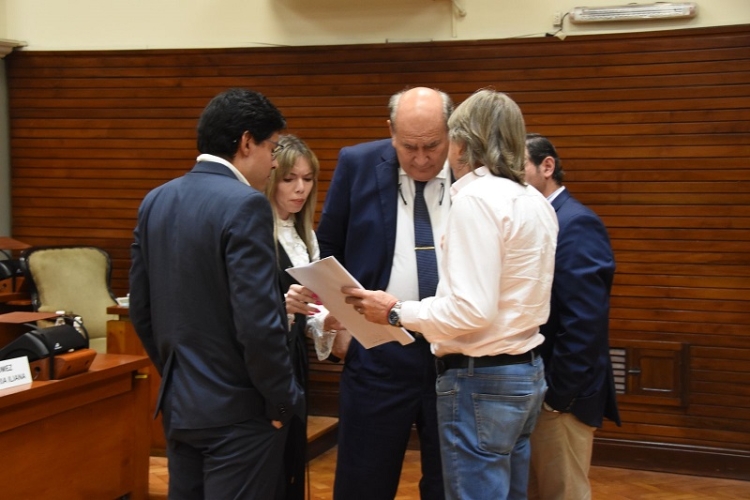 Tom&oacute; estado parlamentario el presupuesto 2025