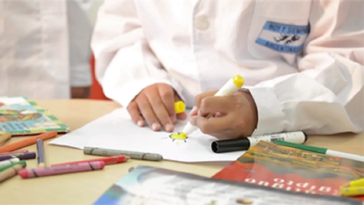 Eficiencia energ&eacute;tica: "El saber Ilumina", con cerca de 80 escuelas en competencia