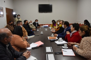 La Comisión de Salud recibió a referentes de la Asociación de Obstetras y Ginecólogos de Jujuy