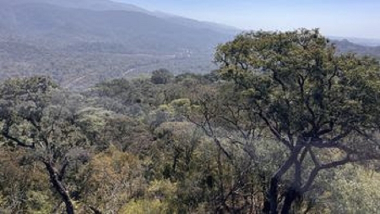 Jujuy avanza en la construcci&oacute;n de su Estrategia Provincial de Biodiversidad