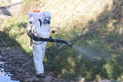 La municipalidad de Palpala intensifica tareas contra el dengue con fumigaci&oacute;n en el Centro Mayorista y Arroyos