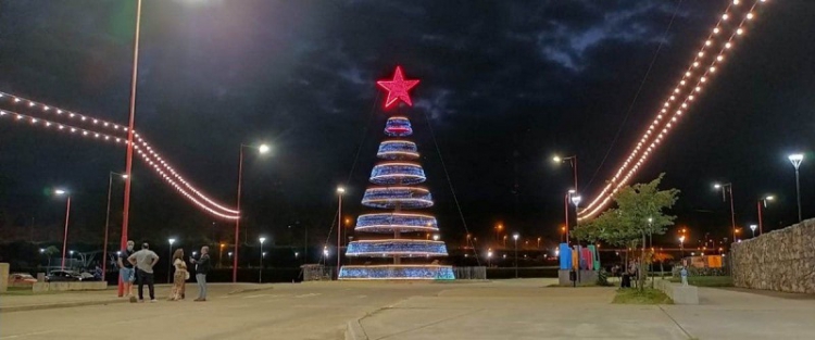 Mega &aacute;rbol de Navidad en Ciudad Cultural e iluminaci&oacute;n en edificios para disfrutar a cielo abierto