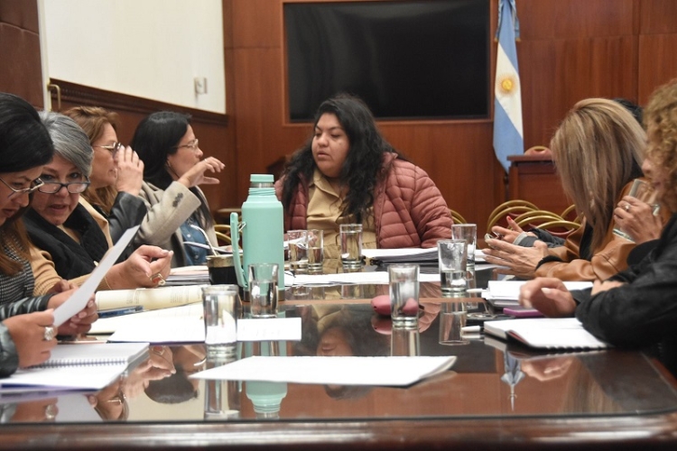 La Comisi&oacute;n de Igualdad de G&eacute;nero dio despacho a proyectos de inter&eacute;s