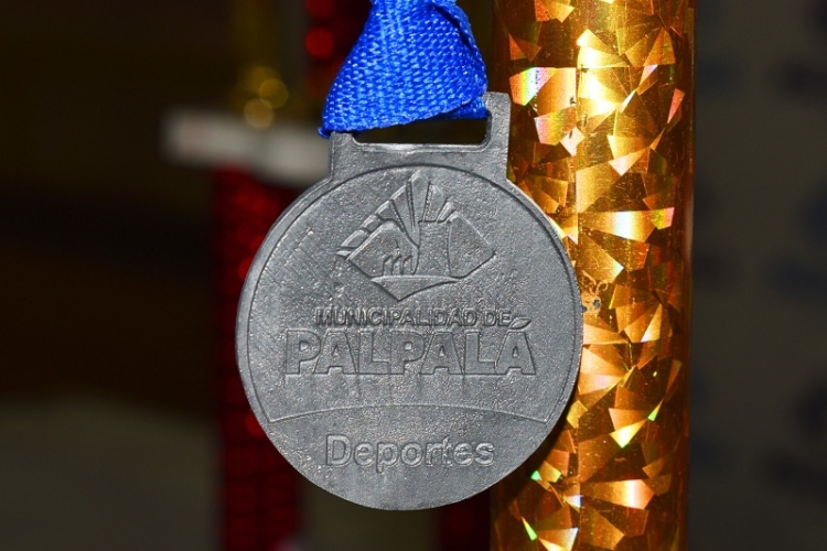 Palpal&aacute; reafirma los trabajos mancomunados con las instituciones deportivas